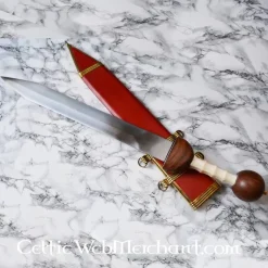 Deepeeka Gladius Pompeii