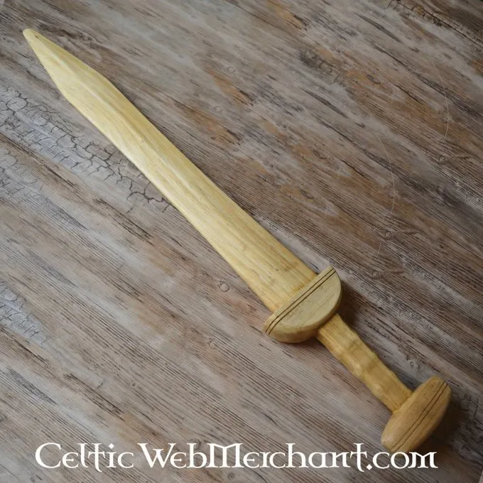 Houten Gladius 1 Houten Gladius