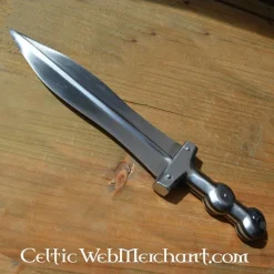 Deepeeka Pugio Quintanis 7 Deepeeka Pugio Quintanis -Viking zwaarden Winkel pugio quintanis 3