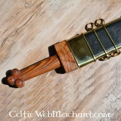 Deepeeka Republikeinse Gladius Osuna -Viking zwaarden Winkel republikeinse gladius osuna 5