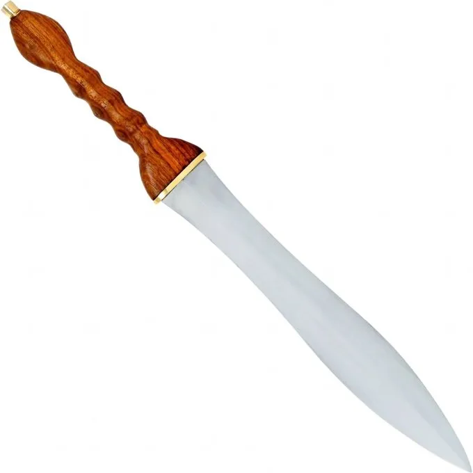 Romeinse Pugio Herculaneum 1 Romeinse Pugio Herculaneum