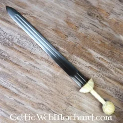 Deepeeka Romeinse Spatha Bonna -Viking zwaarden Winkel romeinse spatha bonna 3