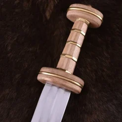 Deepeeka Romeinse Spatha Podlodów, 3de Eeuw N.C.